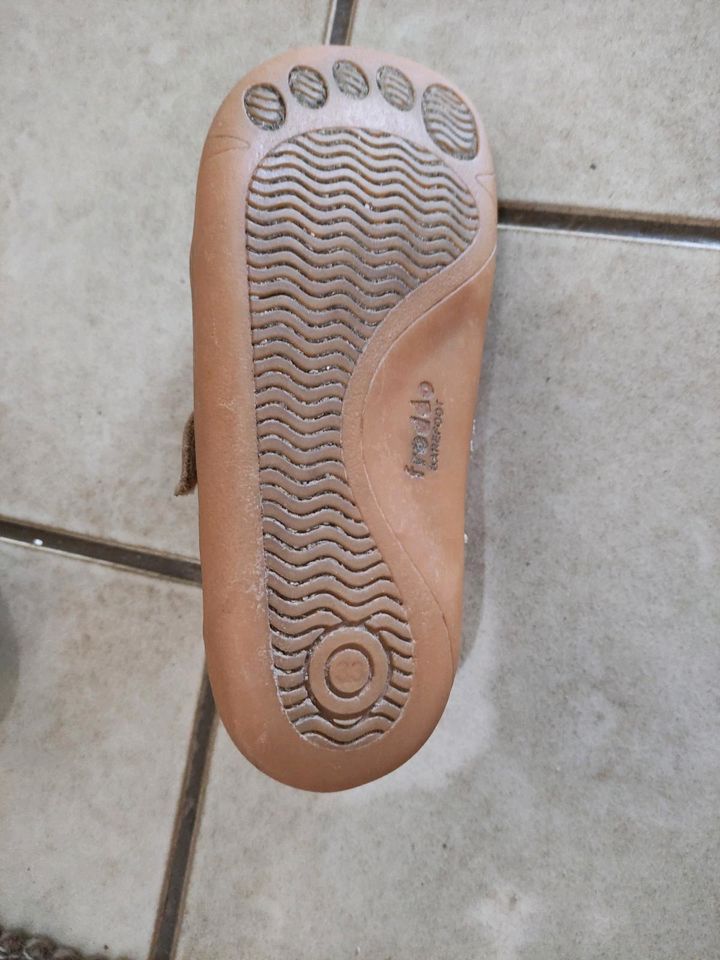 Froddo Barefoot D-Velcro Größe 33 in Orange Barfußschuh in Bonstetten