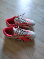 Fußball Schuhe von Puma 37,5 Sachsen - Stolpen Vorschau