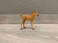 Schleich Quarter Horse Fohlen 13854 Sonderbemalung Rarität Thüringen - Erfurt Vorschau