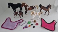 Schleich Horse Club Set 3 Pferde,2 Fohlen, Zubehör Nordrhein-Westfalen - Herzogenrath Vorschau