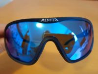 Radbrille Alpina Bayern - Augsburg Vorschau