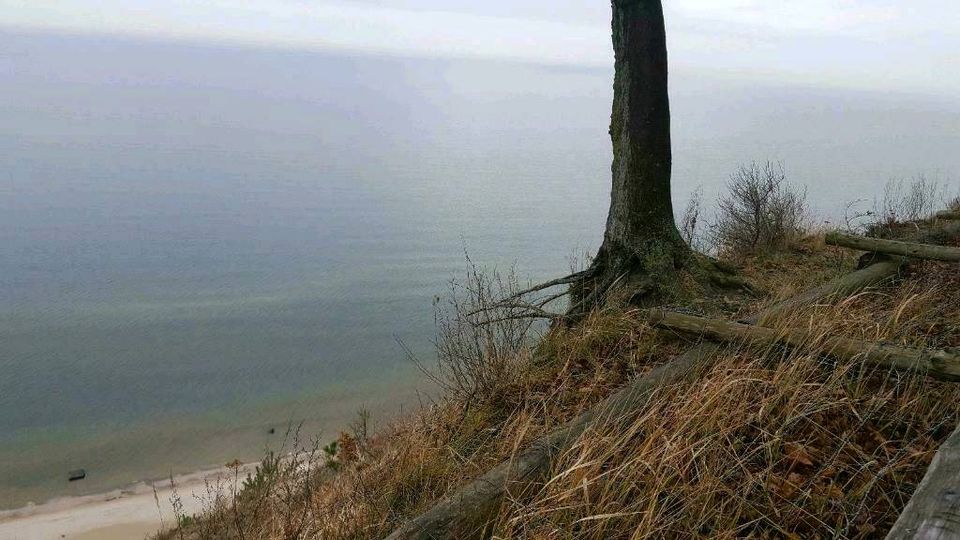 Fewo Ostsee Miedzyzdroje, Misdroy , Usedom, Swinemünde Dziwnów in Kassel