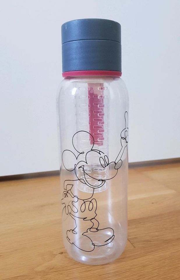 Disney Trinkflasche ToGo mit Fruchteinsatz in Darmstadt