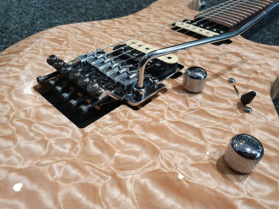 Einzelstück FGN Expert Odyssey FGMUOSFMR Custom Shop E-Gitarre in Hannover