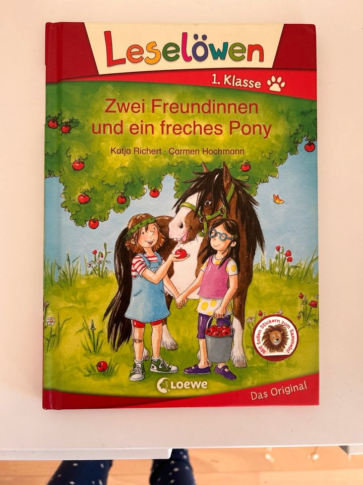 1 Buch Zwei Freundinnen und ein freches Pony in Holzkirchen