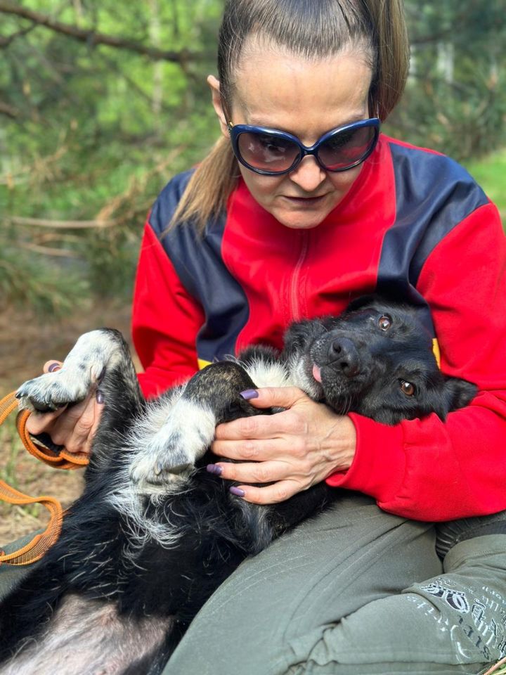 Tierschutz - Zärtliches und liebevolles Mädchen Dina! in Hamburg