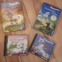 2 Bücher und 2 CDs Sternenschweif Neumünster - Tasdorf Vorschau