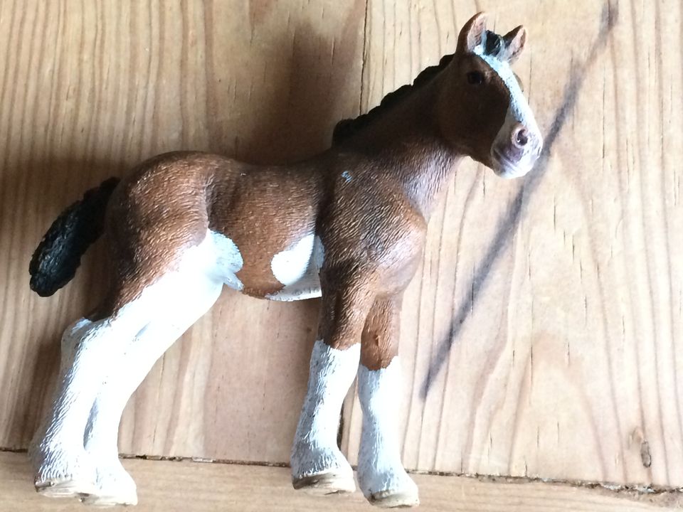 Schleich Figuren Pferde Sammlung in Kastellaun