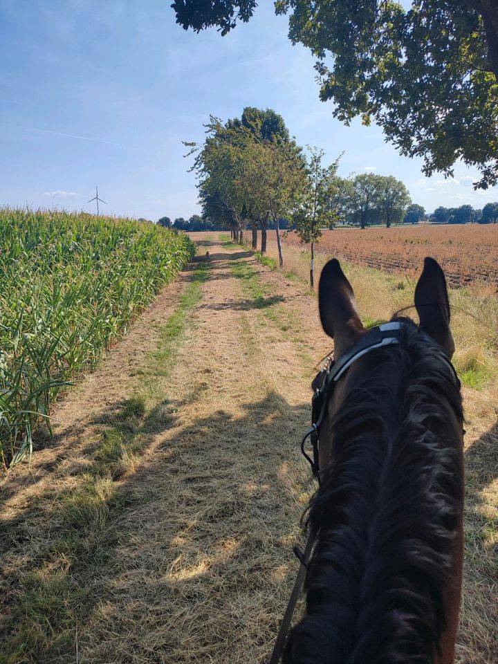 Ausritt/Ausreiten an Fronleichnam in Hille