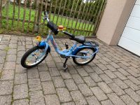 Puky Fahrrad 16“ Rheinland-Pfalz - Kell am See Vorschau