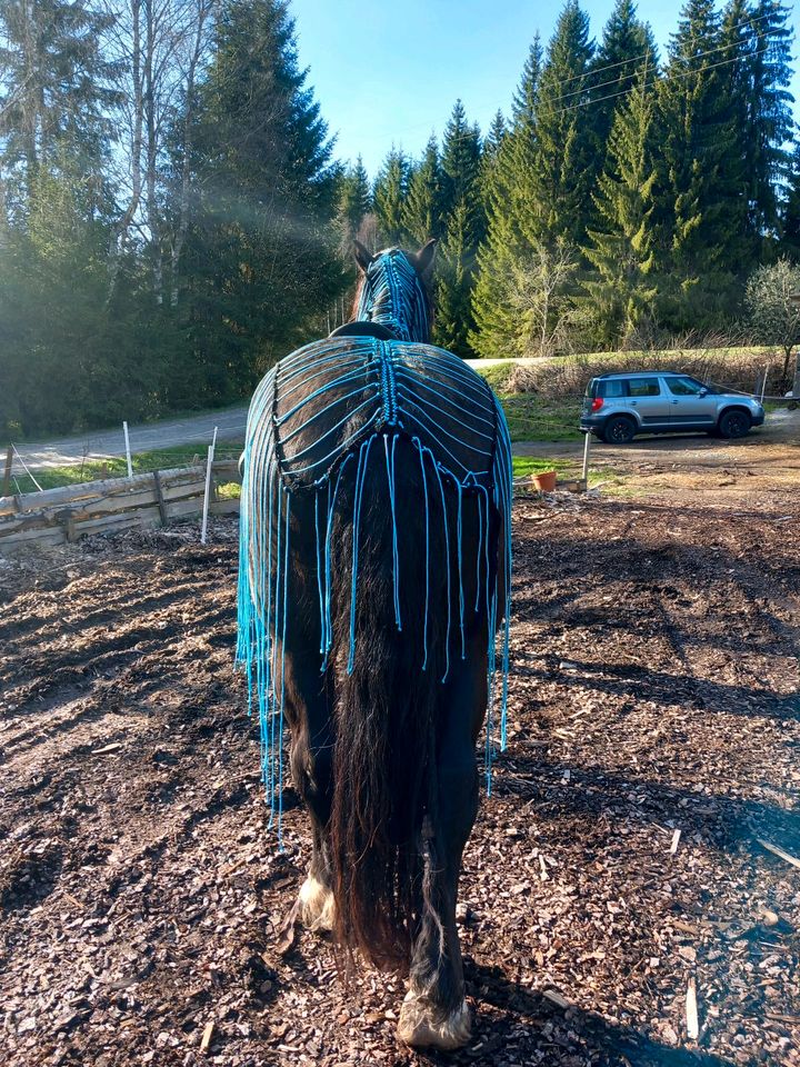 Fliegenausreitedecke Fransen System XXL bis Minimi Pony in Mauth