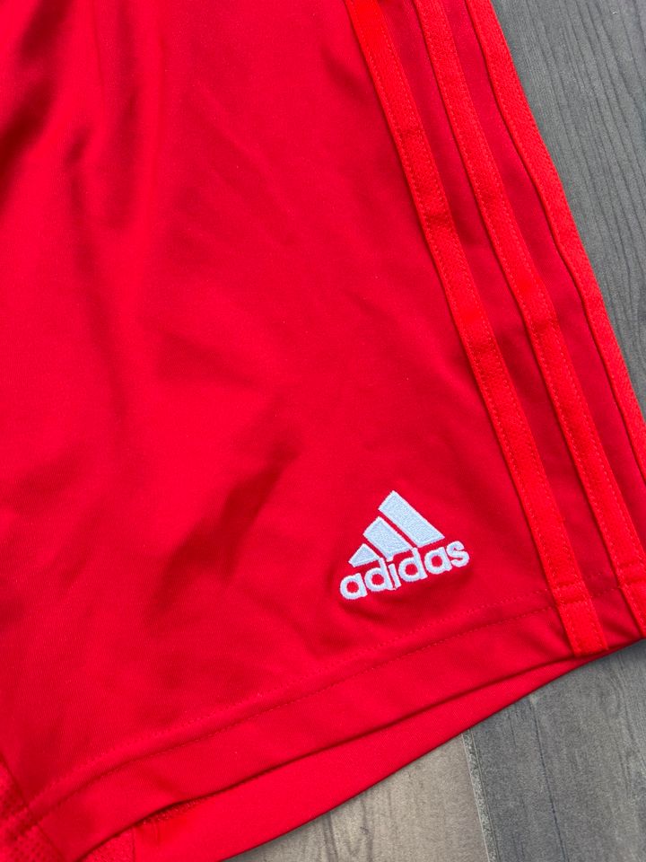 Adidas Shorts  Trikothose Hose FC Bayern München Gr 152 in Troisdorf