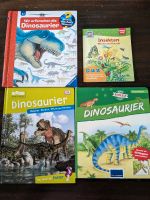 "Was ist was" und Dinosaurier Bücher Rheinland-Pfalz - Klein-Winternheim Vorschau