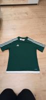 Adidas Shirt Gr 152 Nordvorpommern - Landkreis - Prohn Vorschau