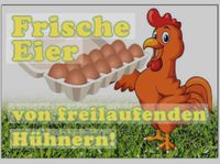 Land Hühnereier Nordrhein-Westfalen - Mettingen Vorschau