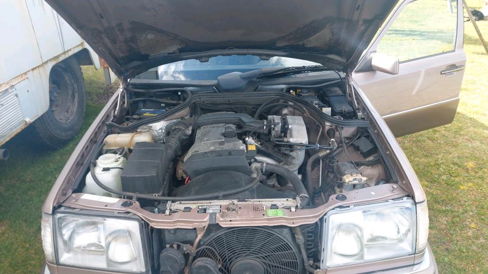 Verkaufe Mercedes w124 E220 in Groß Kreutz