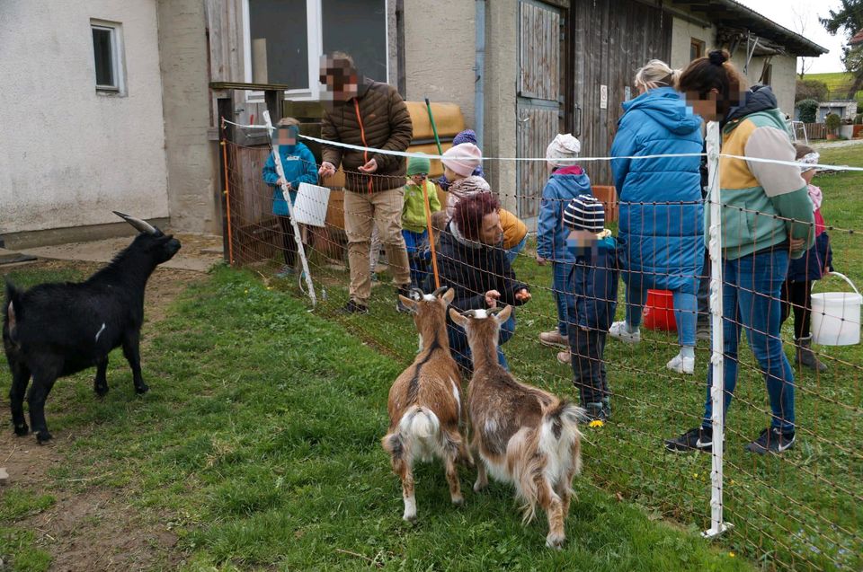 Kindergeburtstag auf dem Bauernhof in Kirchheim in Schwaben