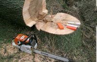Baumfällung Sturmschadenbeseitigung Bäume fällen Baumschnitt Hessen - Edermünde Vorschau