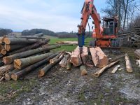 Lohnspalten, Brennholz spalten, Stumpen fräsen,Erdbohrer Baden-Württemberg - Schöntal Vorschau