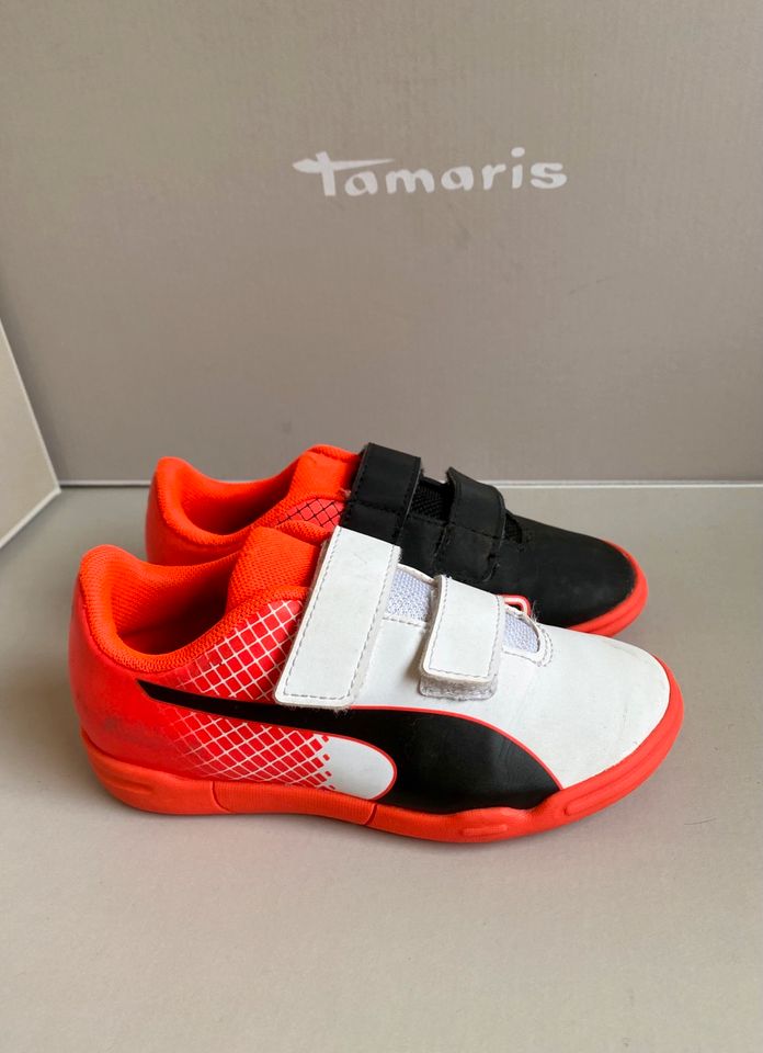 EvoSpeed Puma Turnschuhe Hallenschuhe 30 Klett Sneaker TOP in Stadthagen