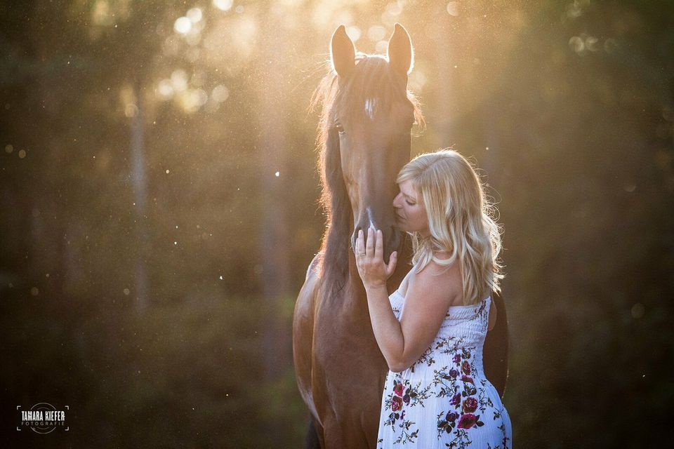 Fotoshootings - Pferde-& Tierfotografie in Offenburg