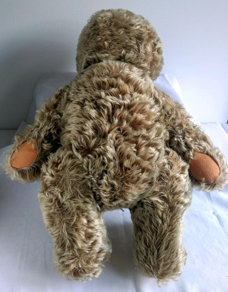 Großer alter Teddybär selten da ohne Ohren. in Freiburg im Breisgau
