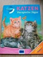 Katzen verspielte Jäger Galileo Buch Kinderbuch lernen Sachbuch Bayern - Vilshofen an der Donau Vorschau