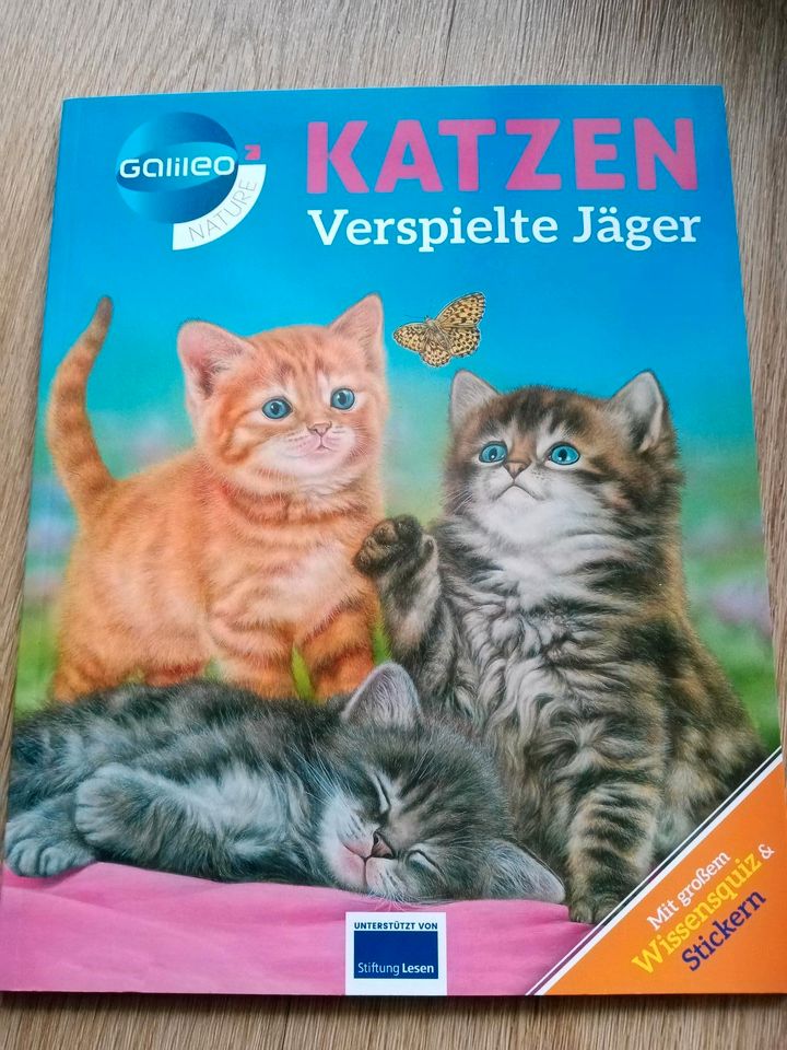 Katzen verspielte Jäger Galileo Buch Kinderbuch lernen Sachbuch in Vilshofen an der Donau