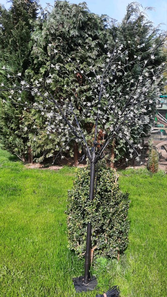 LED Lichterbaum Kirschblüte in Neusalza-Spremberg