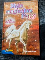 Pferdebuch | Mein magisches Pony Nordrhein-Westfalen - Balve Vorschau