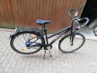 Fahrrad Herren 28" Rabeneick Dithmarschen - Burg (Dithmarschen) Vorschau