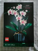 Lego 10311 Orchidee OVP Nordrhein-Westfalen - Ense Vorschau