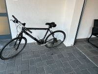 ZOULOU  Fahrrad 23 Zoll Trekking Rad sehr leicht Rheinland-Pfalz - Bitburg Vorschau