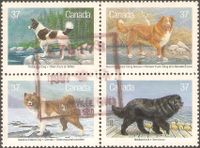Kanada 1097-1100 ° Bear Dog Retriever Eskimohund Neufundländer Nordrhein-Westfalen - Kamen Vorschau