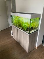 240 Liter Aquarium mit Unterschrank und Zubehör Nordrhein-Westfalen - Übach-Palenberg Vorschau