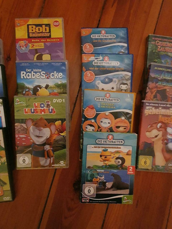 DVD kindee in Lutherstadt Wittenberg