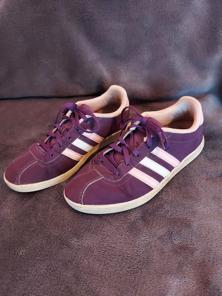 Adidas Gr. 35 in Gladbeck