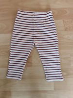 Kinder Baby Leggins Gr.80 Staccato wie neu Mädchen Junge Hose Niedersachsen - Holzminden Vorschau