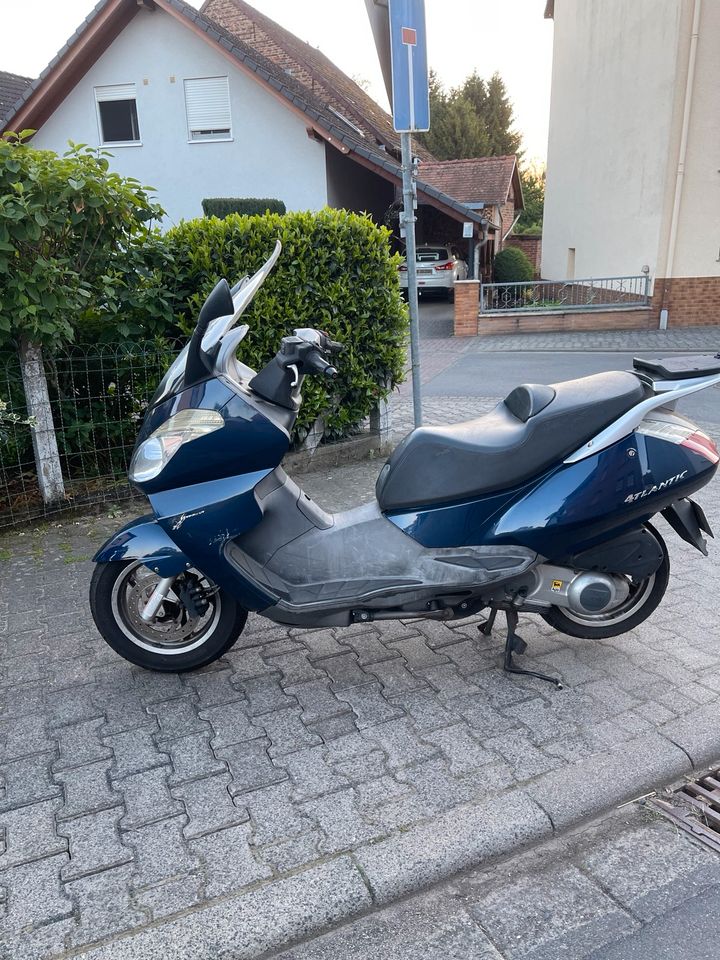 Aprilia atlantic in Nidda