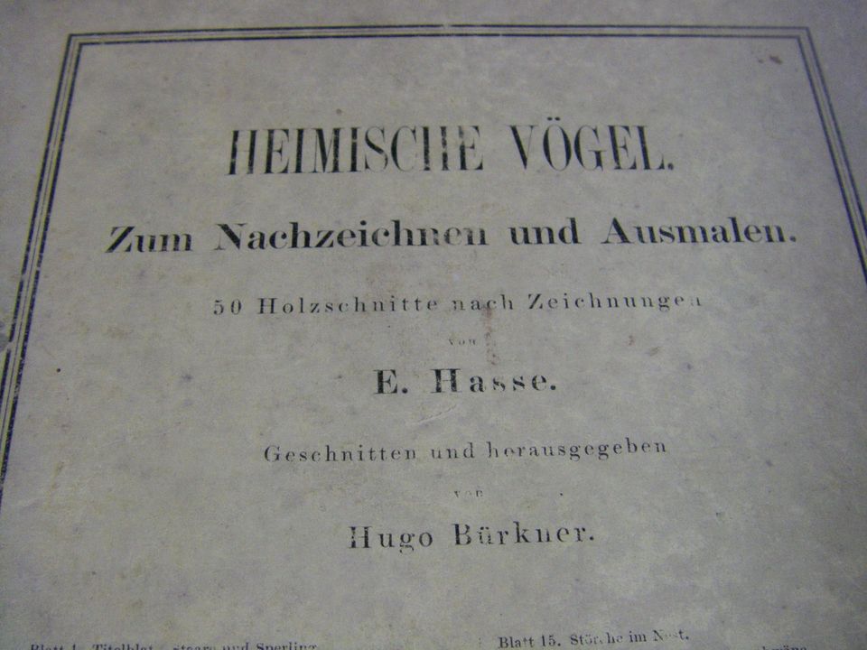 Heimische Vögel von E. Hasse von 1870,50 Holzschnitte in Merkendorf