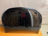 Ich verkaufe eine gebrauchte Cupra Haube zwei kleine Beulen sind Bayern - Karlstadt Vorschau