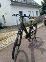 Scott Fahrrad für Herren Sachsen-Anhalt - Magdeburg Vorschau