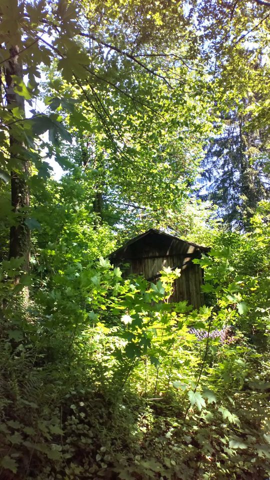 Erholungsfläche Grundstück mit Hütte Hohenstaufen in Göppingen