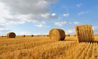 Ackerflächen in Groß Stavern zu verkaufen - gegen Gebot Niedersachsen - Stavern Vorschau