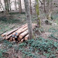 3 Ster Fichte Holzstämme 3m lang Bayern - Bobingen Vorschau