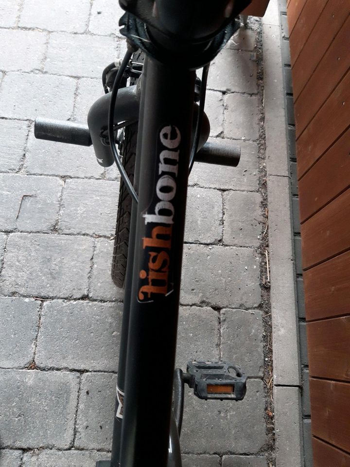 BMX Rad 20 Zoll, fishbone P1000 in Telgte