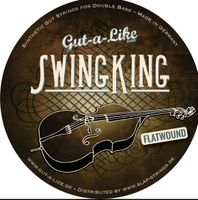 SUCHE: Gut-a-Like SWINGKING E & A Kontrabass-Saiten Thüringen - Saalfeld (Saale) Vorschau