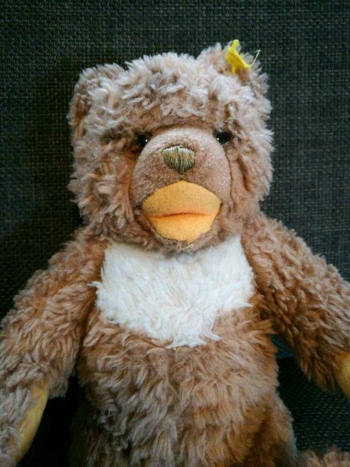 Steiff 30cm Teddy Bär 70er Jahre sammlerstück in Igensdorf