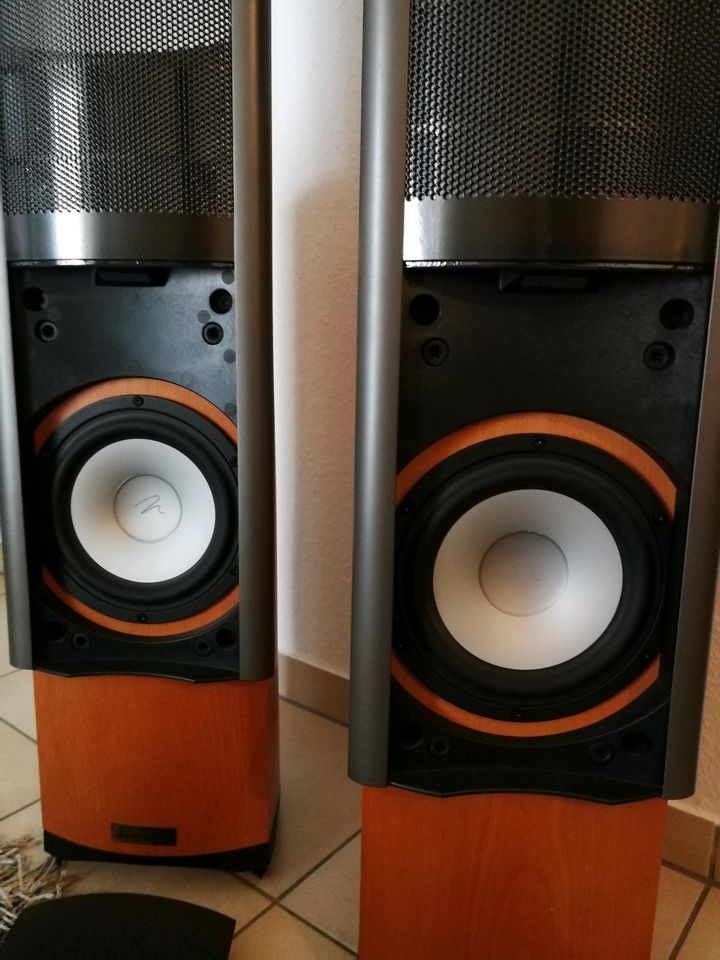 Martin Logan clarity in Neustadt (Wied)