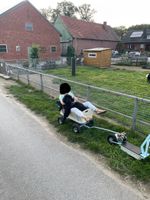 Elektroroller E-Scooter Eigenbau 25 km/h Nordrhein-Westfalen - Dorsten Vorschau